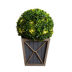 18” UV Resistant Artificial Boxwood Ball Topiary with LED Lights in Decorative Planter (Indoor/Outdoor)