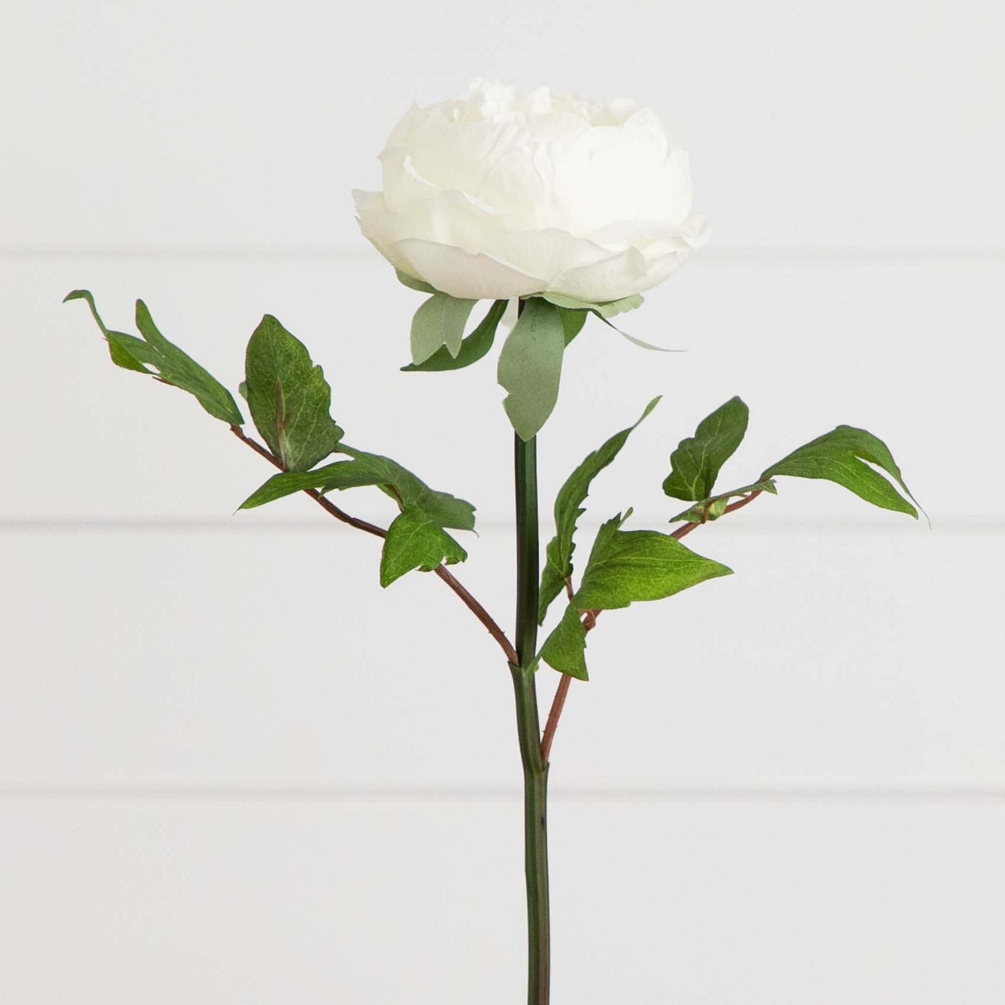 20"Artificial Peony Flower Stems - Set of 3