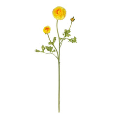 23" Ranunculus Stem (Set of 12)"