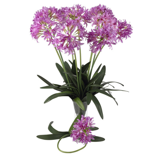 29" African Lily Stem (Set of 12)"