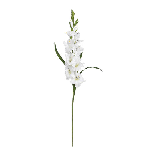 36" Gladiola Stem (Set of 12)"