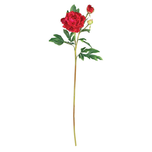 38.5" Peony w/Leaves Stem (Set of 12)"