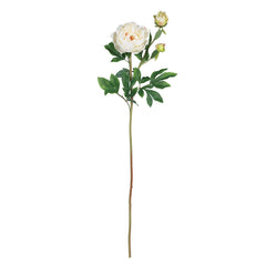 38.5" Peony w/Leaves Stem (Set of 12)"