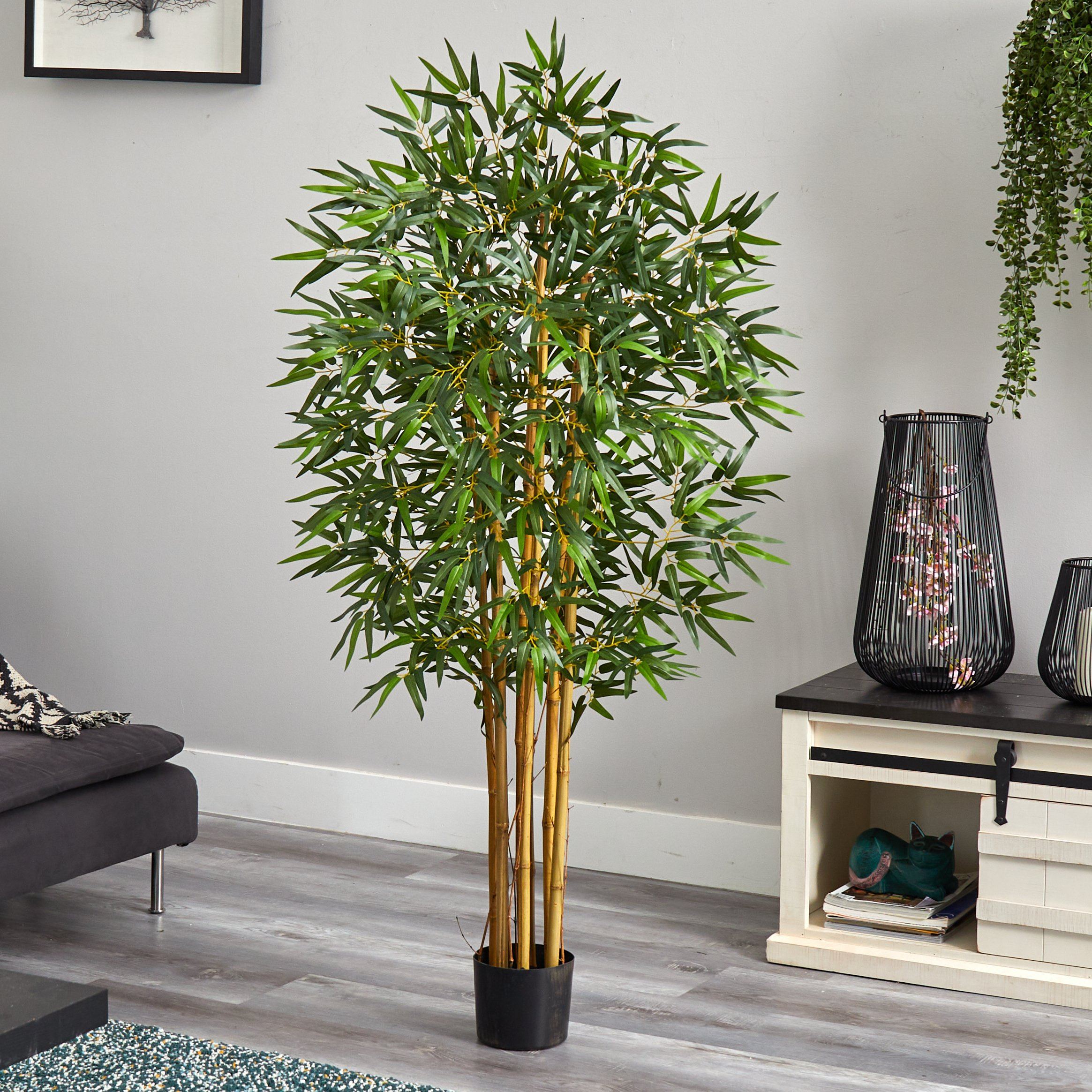 5' Multi Bambusa Bamboo Silk Tree