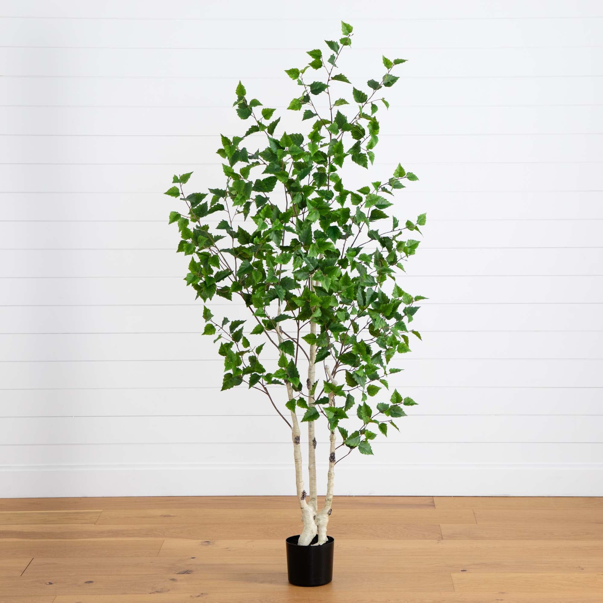 6’ Artificial Birch Tree with Real Touch Leaves