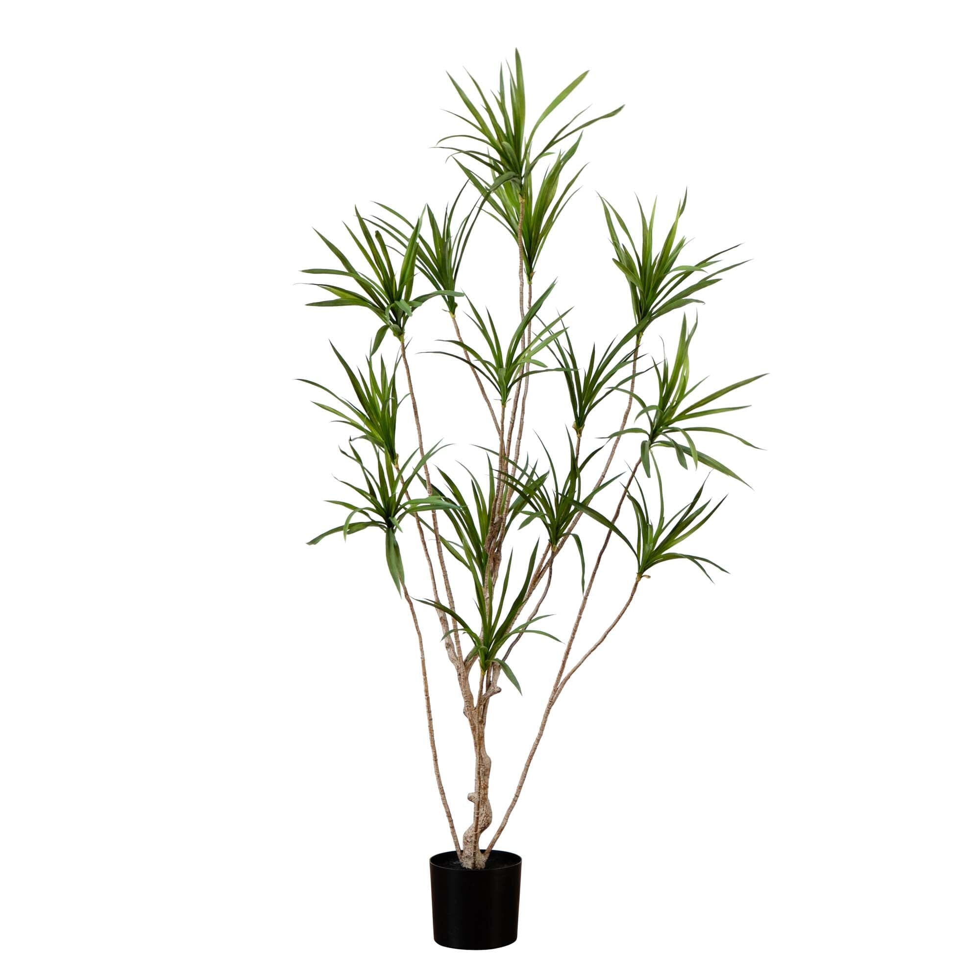 6’ Artificial Dracaena Tree