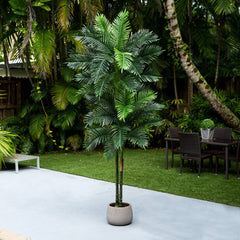 9’ UV Resistant Artificial Double Robellini Palm Tree (Indoor/Outdoor)