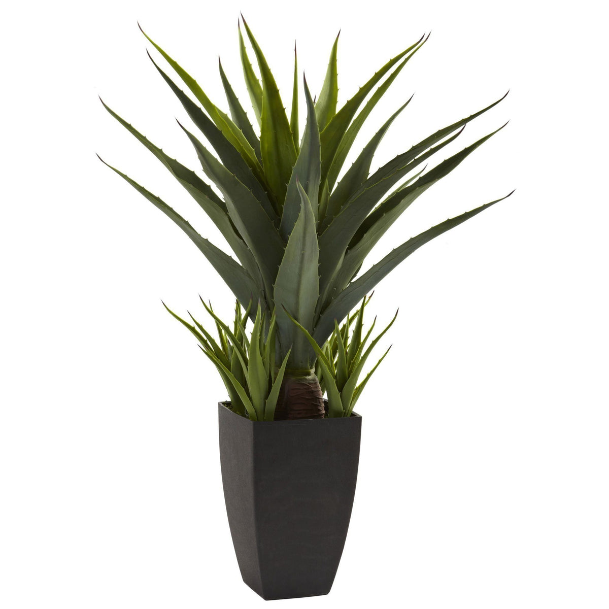 Agave w/Black Planter