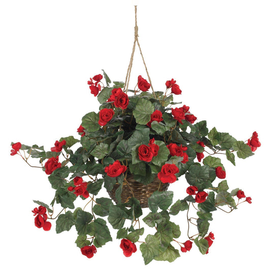 Begonia Hanging Basket