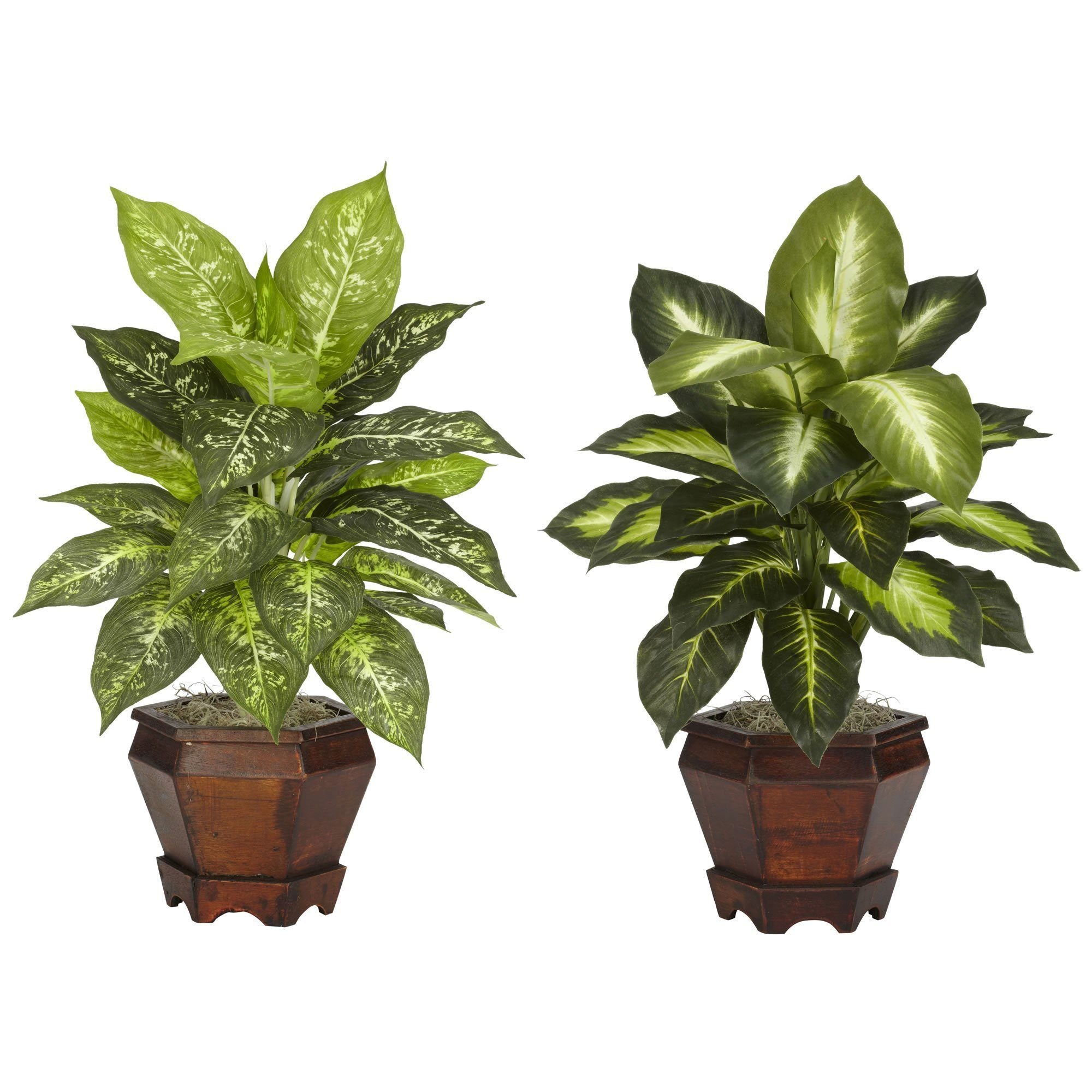 Dieffenbachia w/Wood Vase Silk Plant (Set of 2)