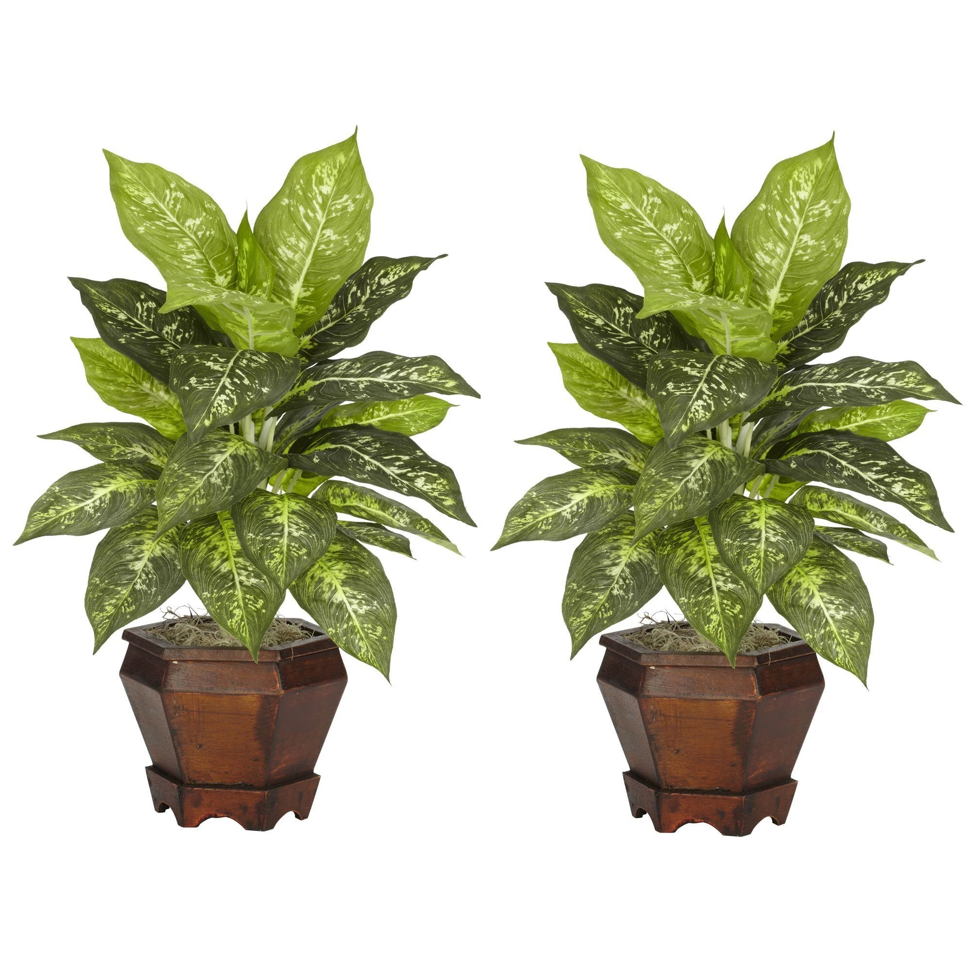 Dieffenbachia w/Wood Vase Silk Plant (Set of 2)