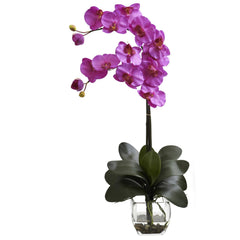 Double Phal Orchid w/Vase Arrangement