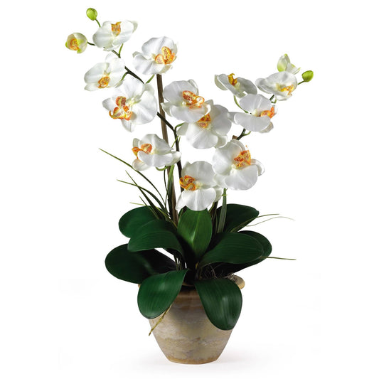 Double Stem Phalaenopsis Silk Orchid Arrangement