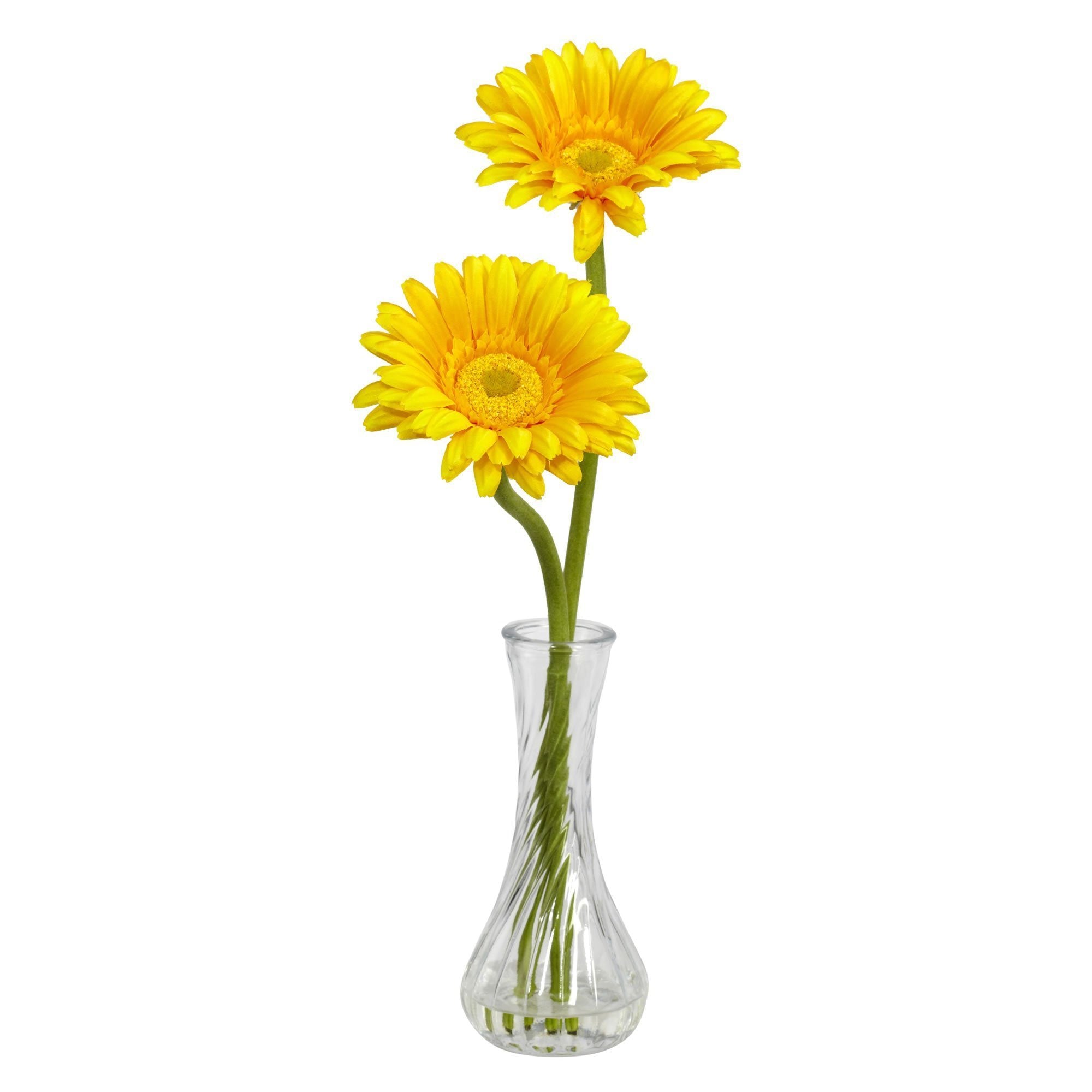 Gerber Daisy w/Bud Vase (Set of 3)