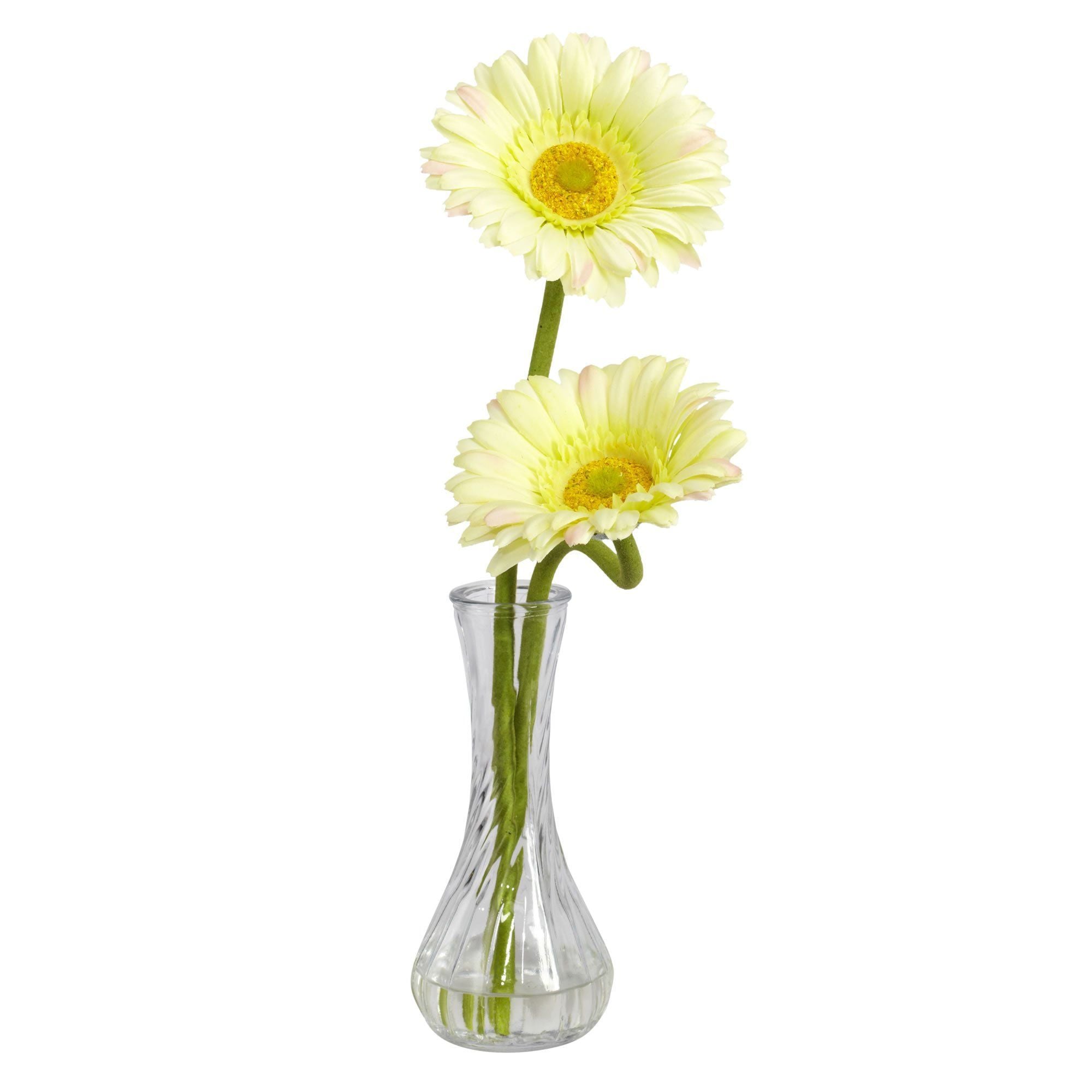 Gerber Daisy w/Bud Vase (Set of 3)