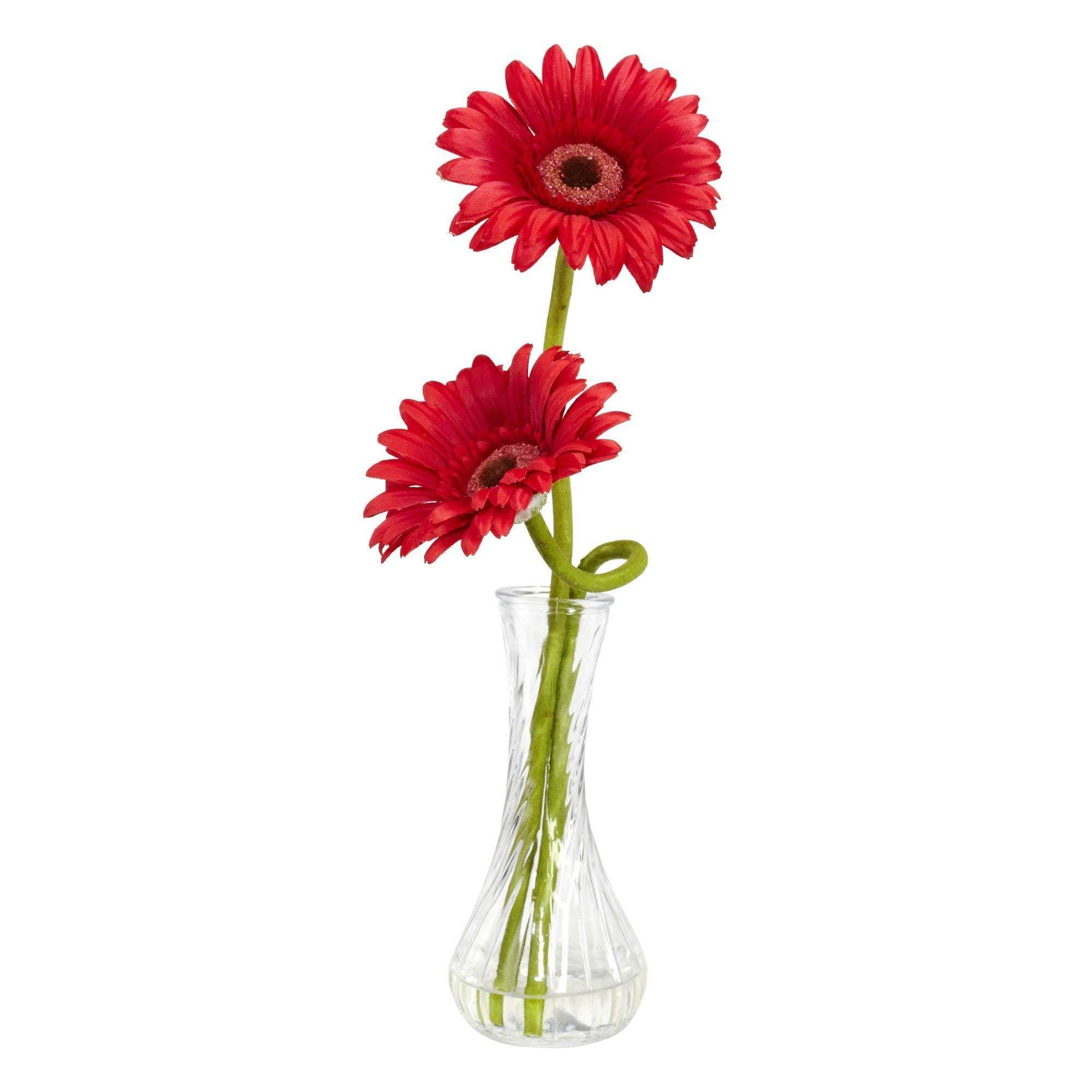 Gerber Daisy w/Bud Vase (Set of 3)