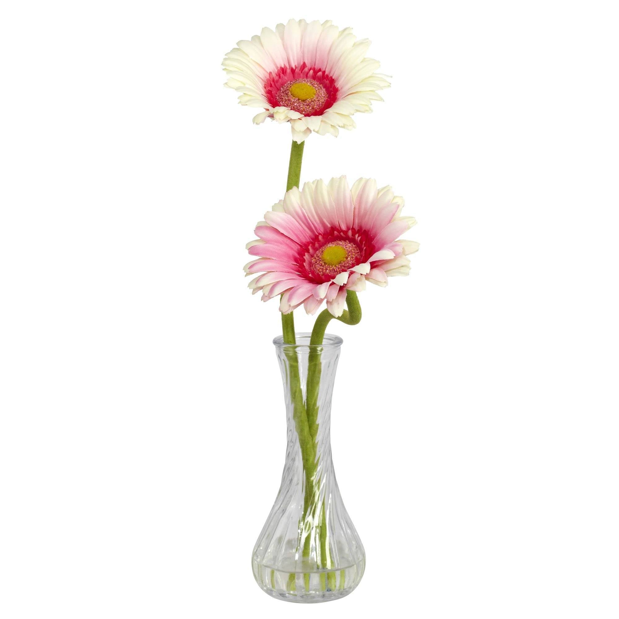 Gerber Daisy w/Bud Vase (Set of 3)