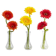 Gerber Daisy w/Bud Vase (Set of 3)