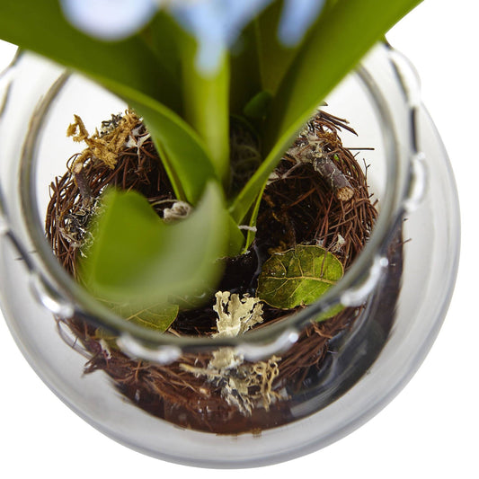 Hyacinth & Birds Nest w/Vase