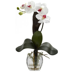 Mixed Orchid w/Cube Arrangements (Set of 3)