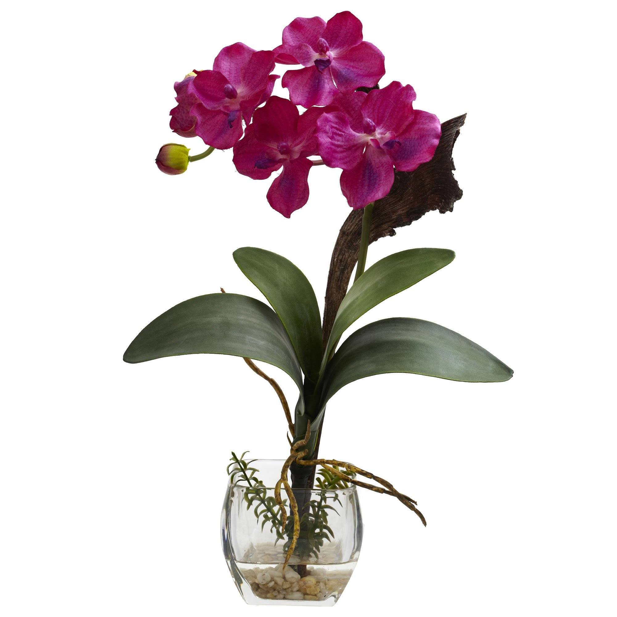 Mixed Orchid w/Cube Arrangements (Set of 3)