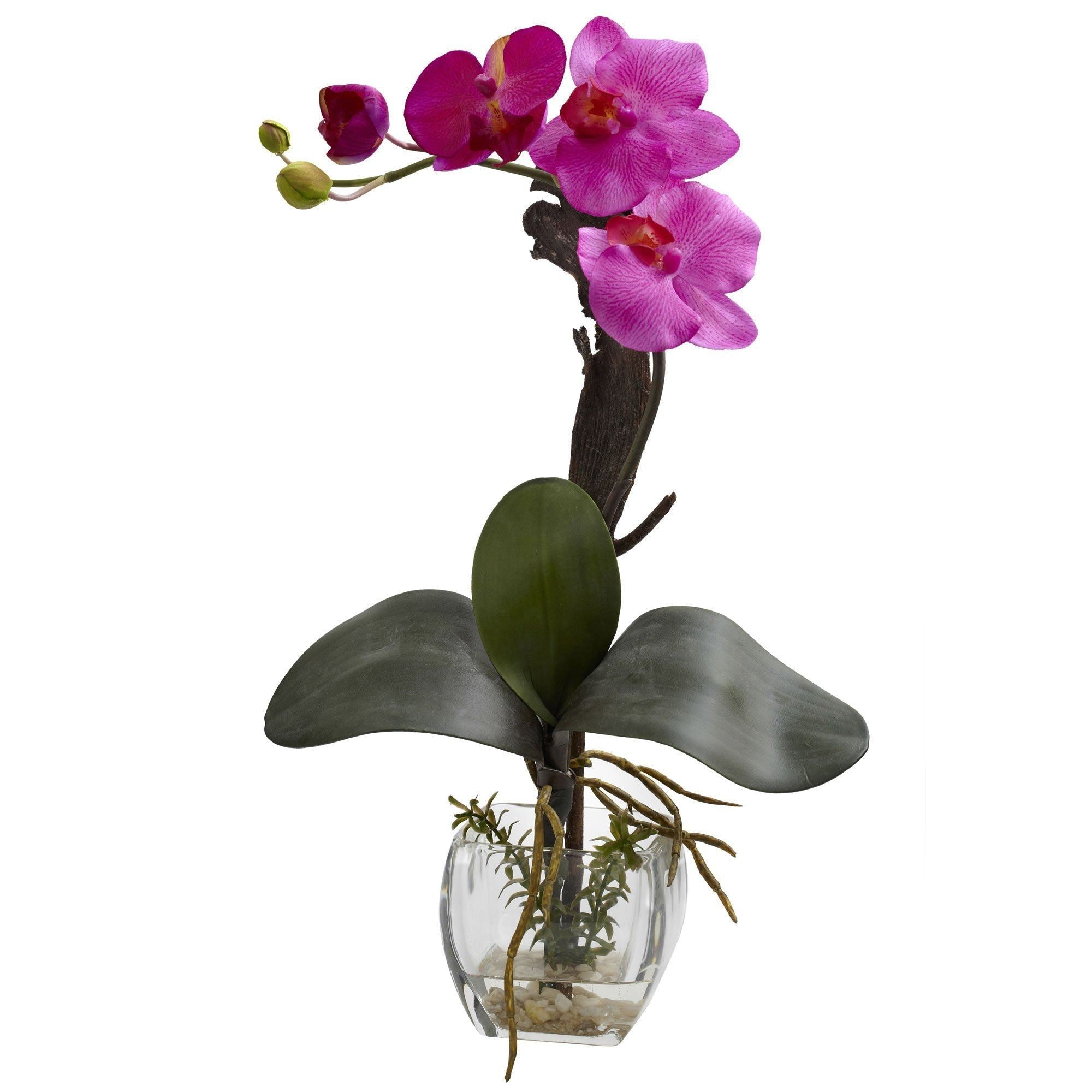 Mixed Orchid w/Cube Arrangements (Set of 3)