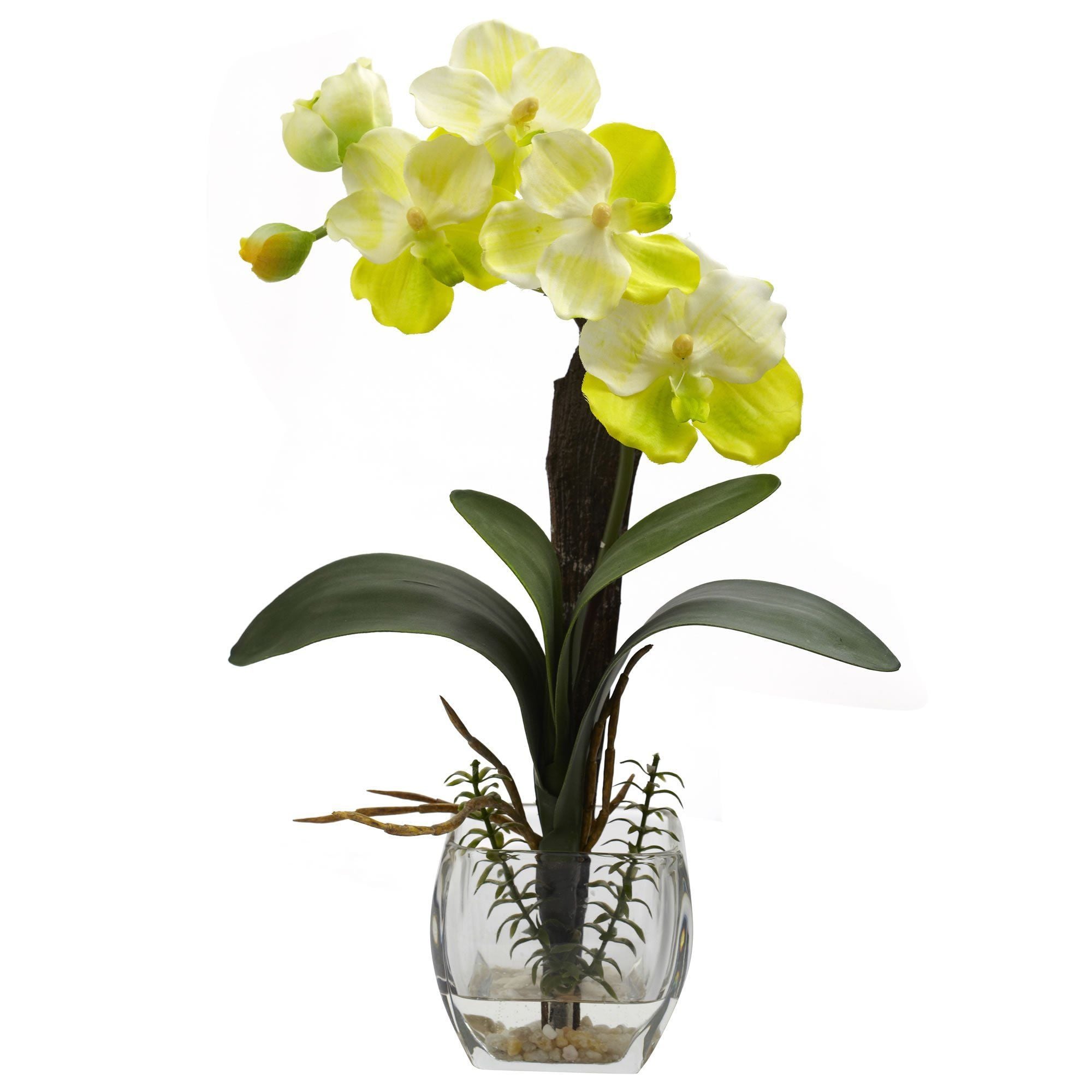 Mixed Orchid w/Cube Arrangements (Set of 3)