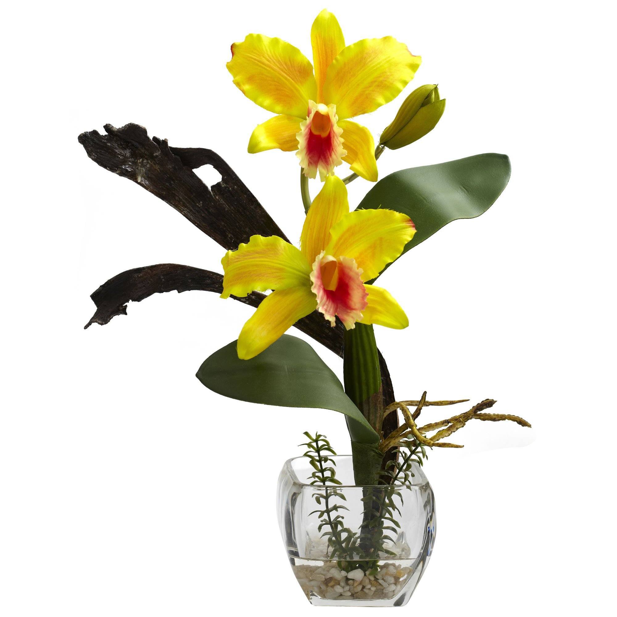 Mixed Orchid w/Cube Arrangements (Set of 3)