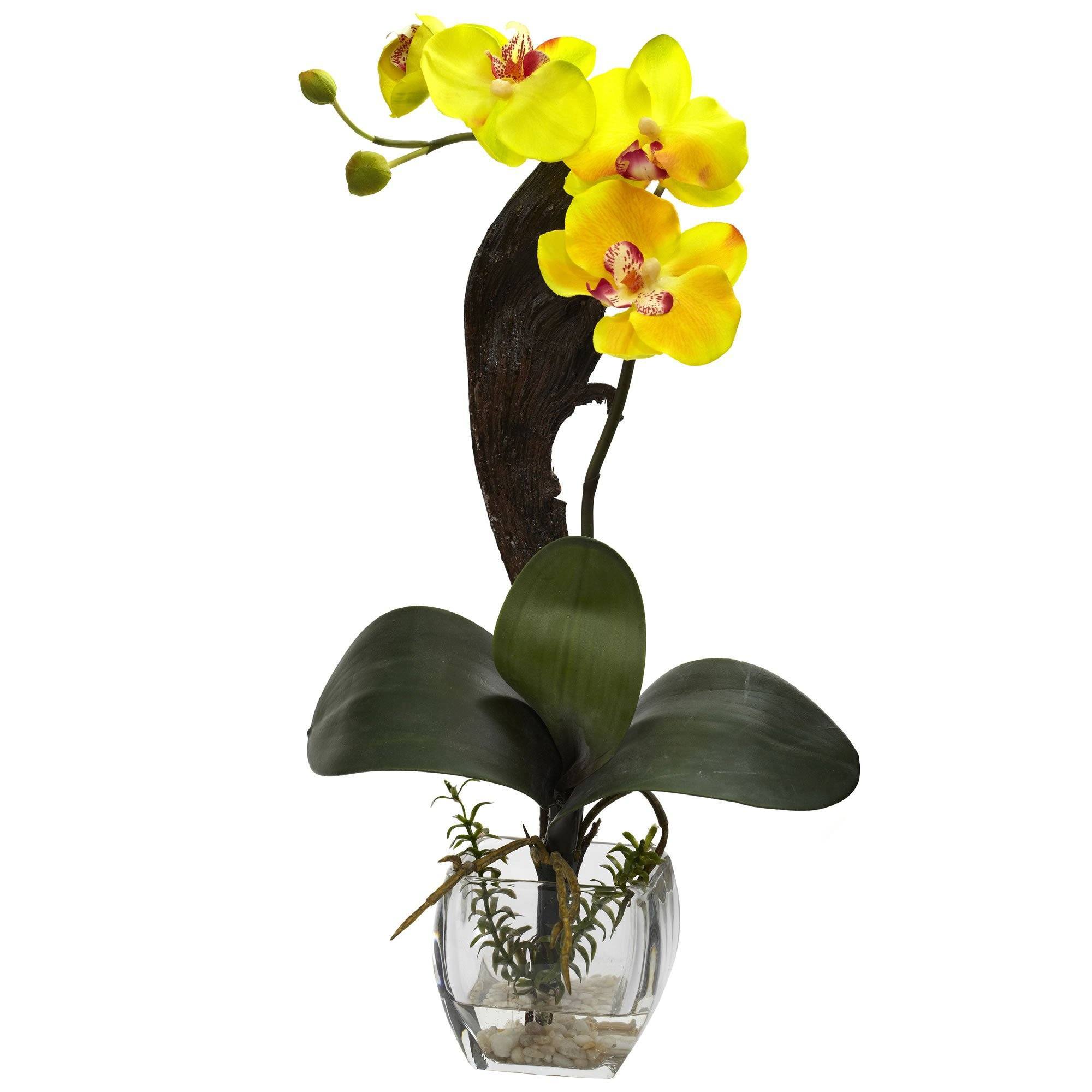 Mixed Orchid w/Cube Arrangements (Set of 3)