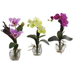 Mixed Orchid w/Cube Arrangements (Set of 3)