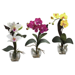 Mixed Orchid w/Cube Arrangements (Set of 3)