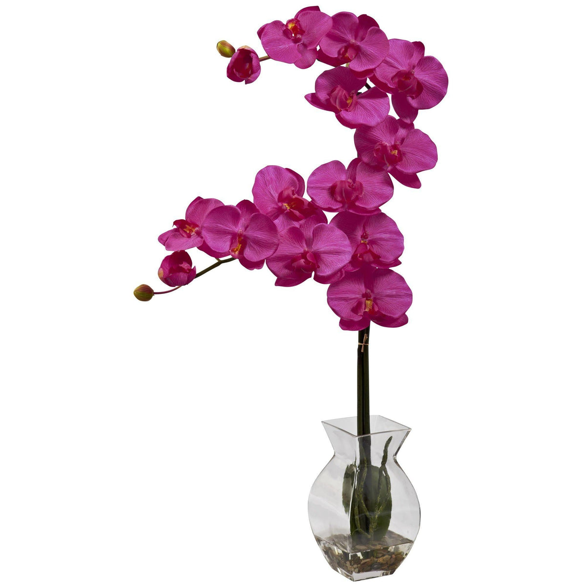 Phalaenopsis Orchid w/Vase Arrangement