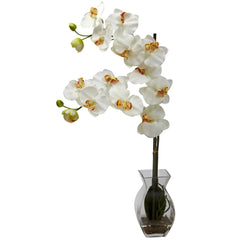 Phalaenopsis Orchid w/Vase Arrangement