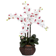 Phalaenopsis w/Decorative Vase Silk Flower Arrangement