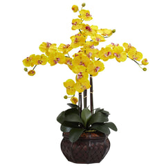 Phalaenopsis w/Decorative Vase Silk Flower Arrangement