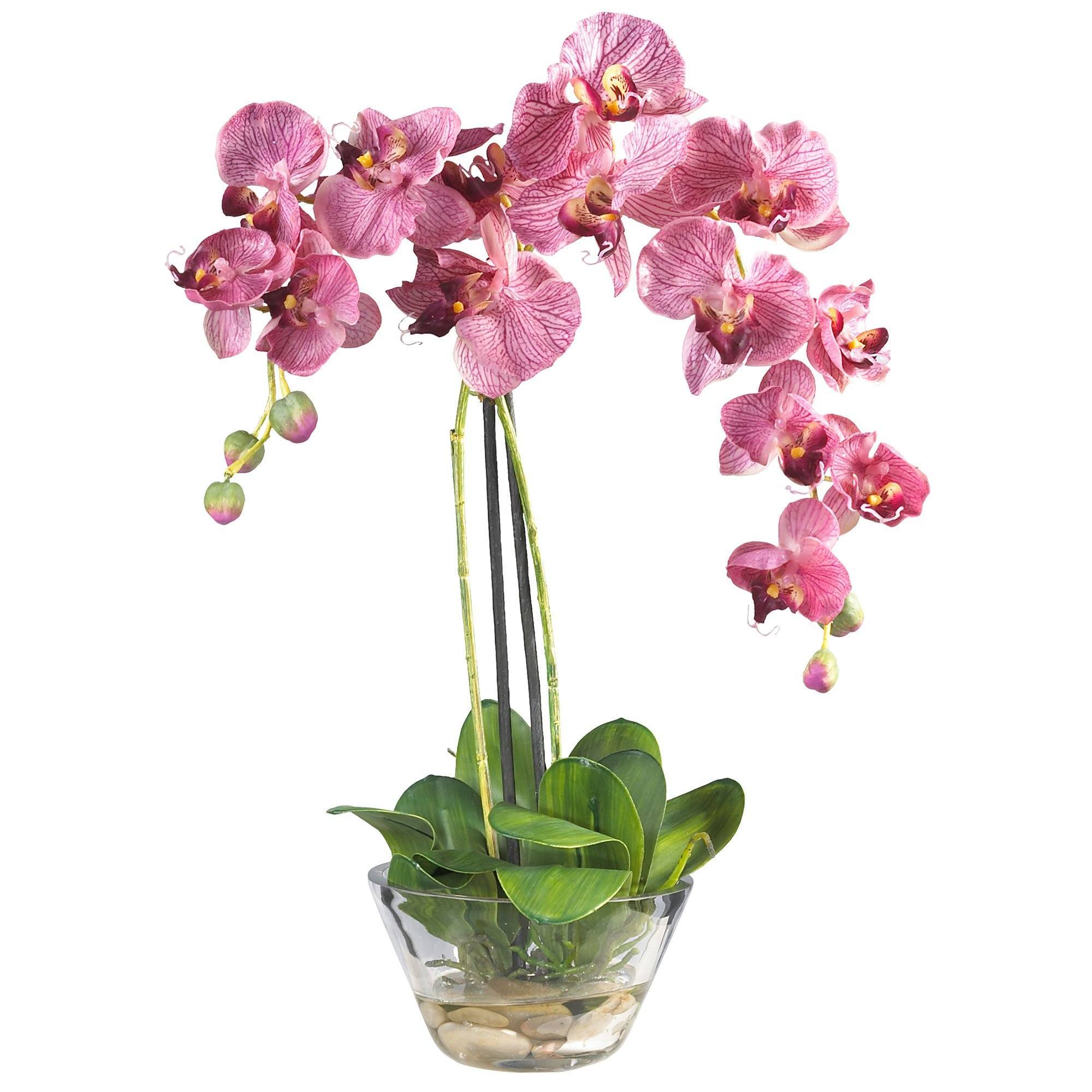 Phalaenopsis w/Glass Vase Silk Flower Arrangement