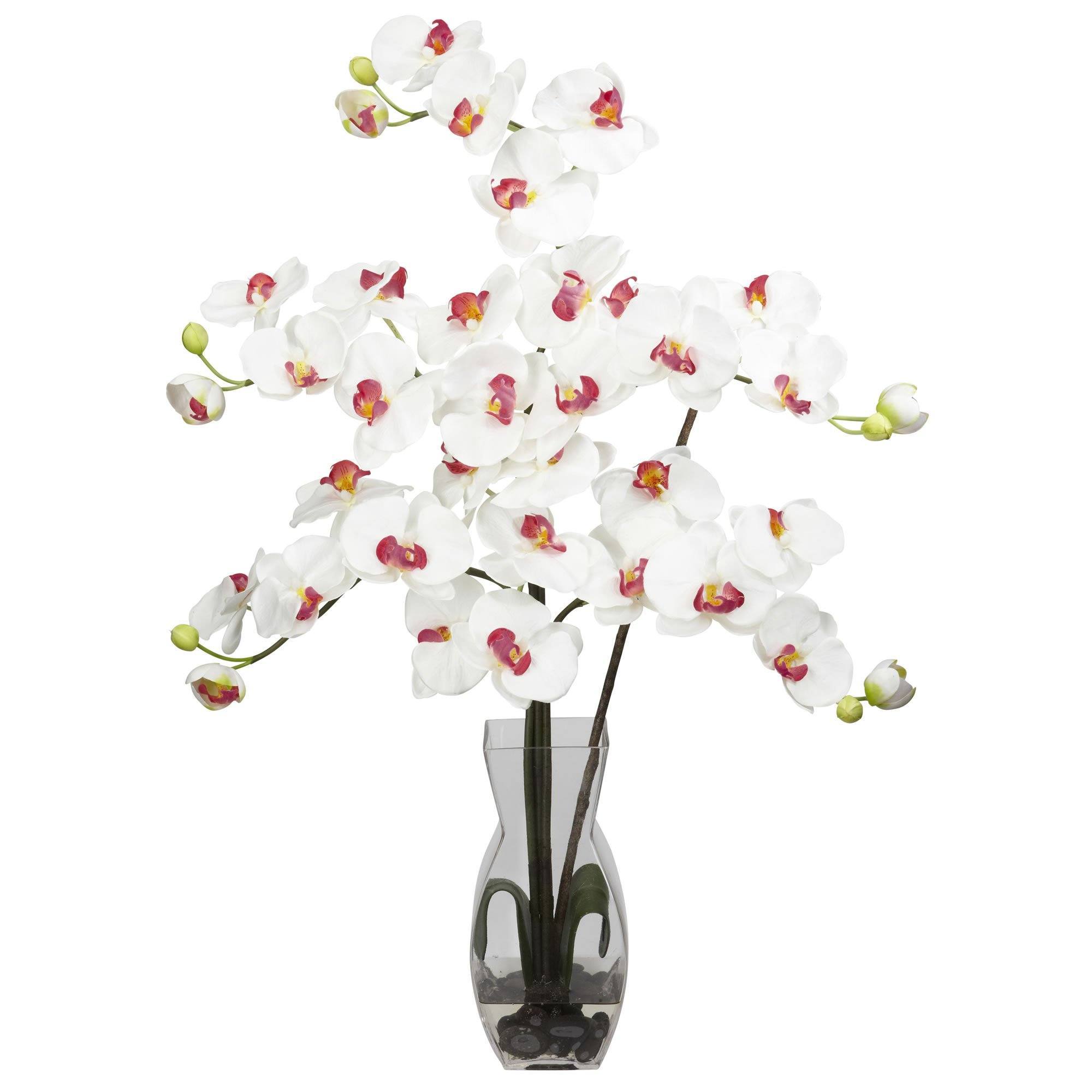 Phalaenopsis w/Vase Silk Flower Arrangement