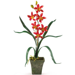 Potted Orchid Mix (Set of 3)