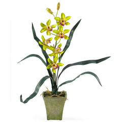 Potted Orchid Mix (Set of 3)