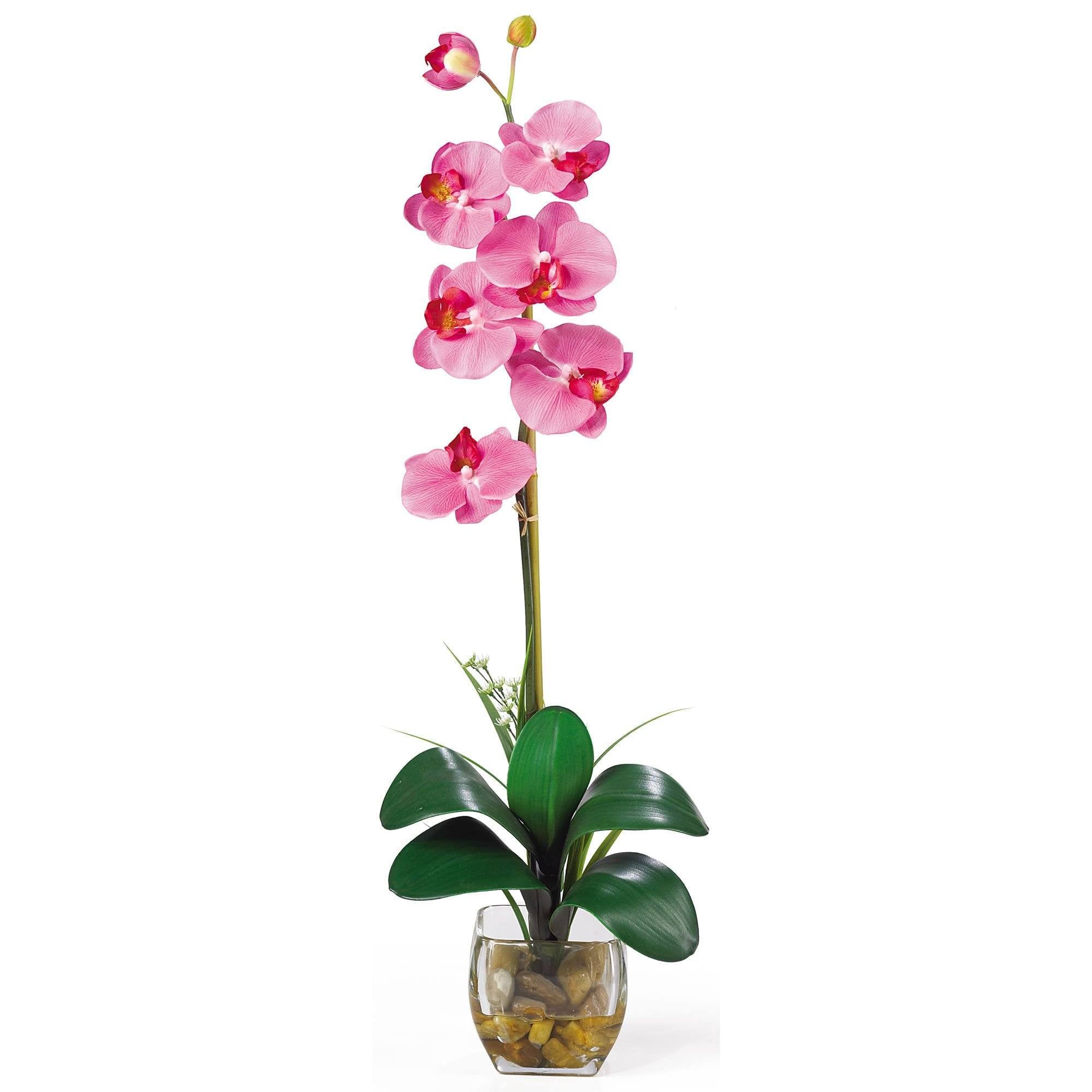 Single Phalaenopsis Liquid Illusion Silk Flower Arrangement