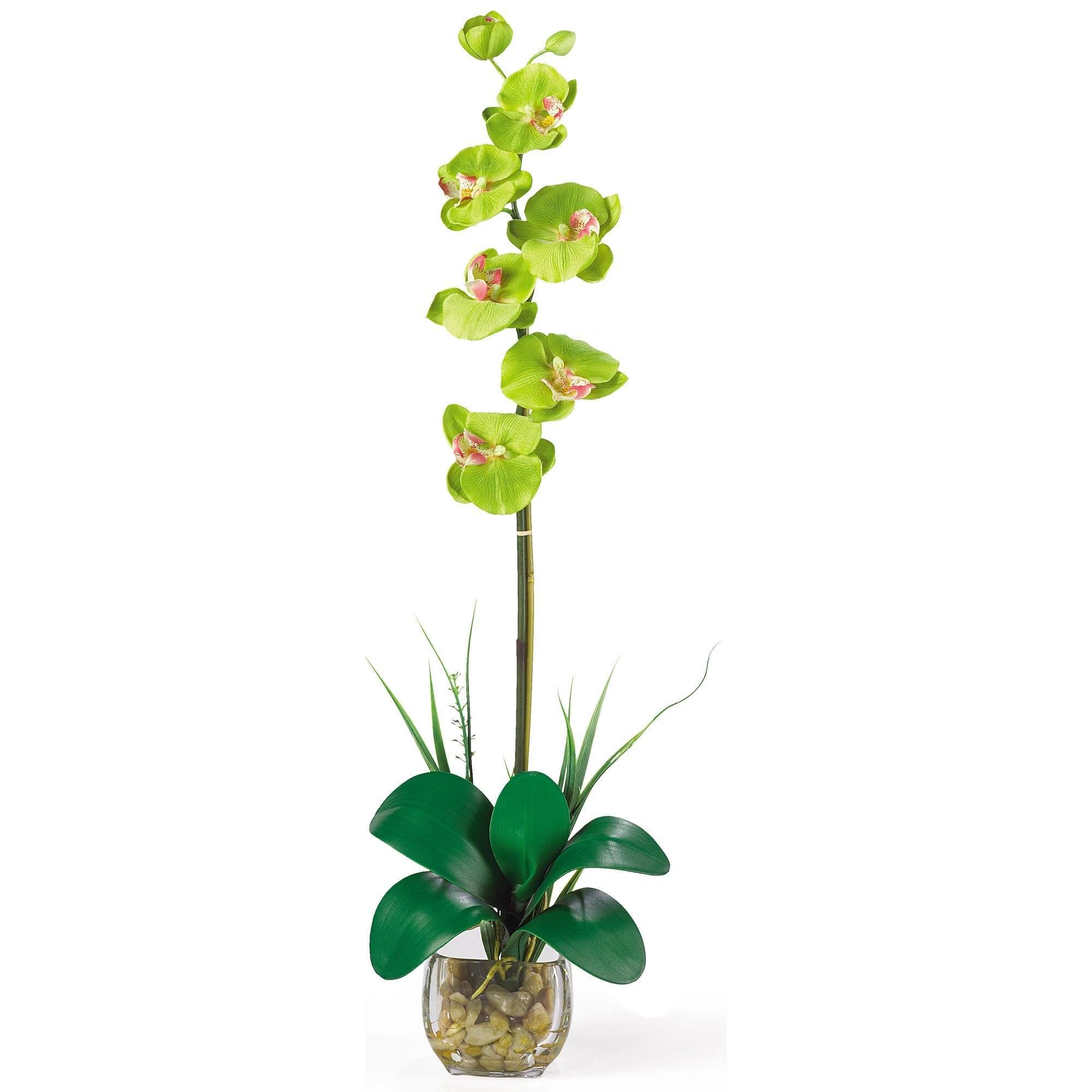 Single Phalaenopsis Liquid Illusion Silk Flower Arrangement