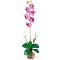 Single Phalaenopsis Liquid Illusion Silk Flower Arrangement