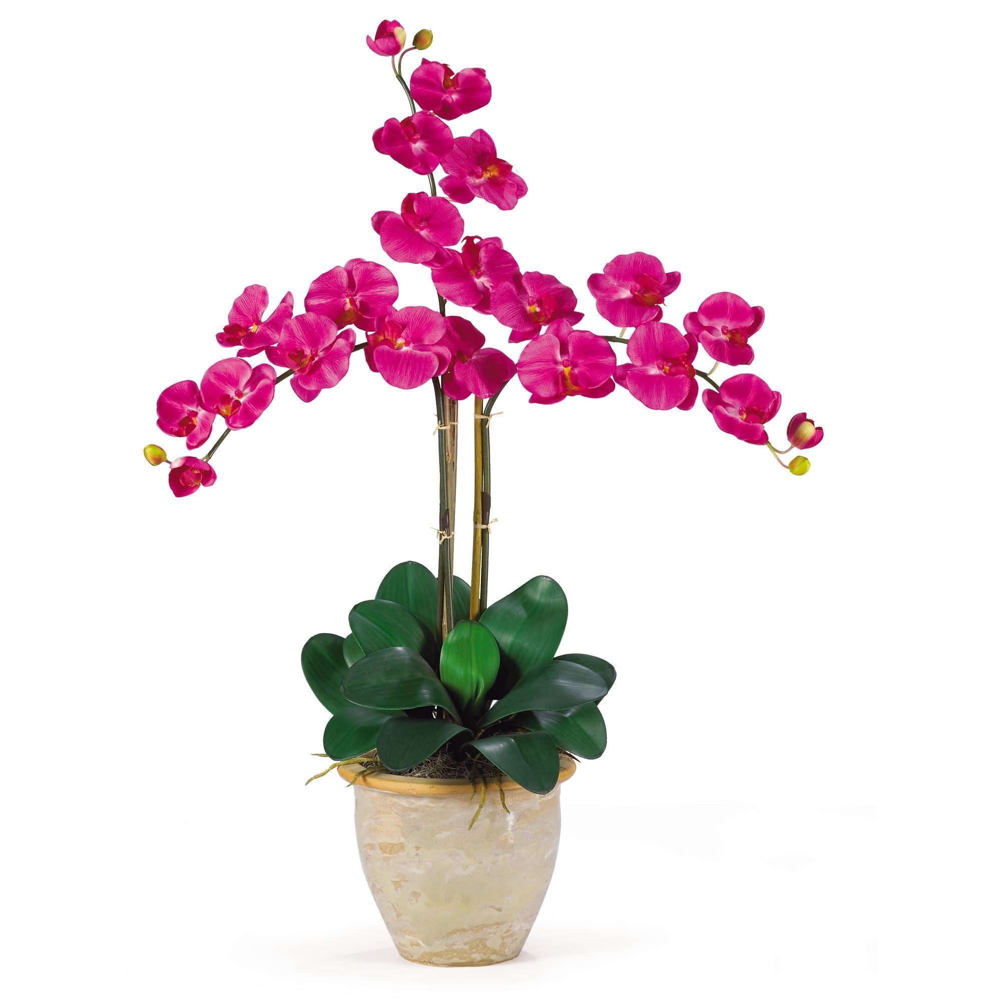 Triple Stem Phalaenopsis Silk Orchid Arrangement