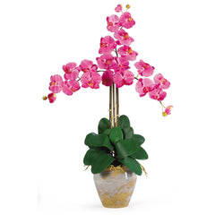 Triple Stem Phalaenopsis Silk Orchid Arrangement