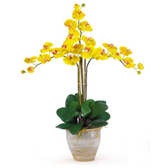 Triple Stem Phalaenopsis Silk Orchid Arrangement