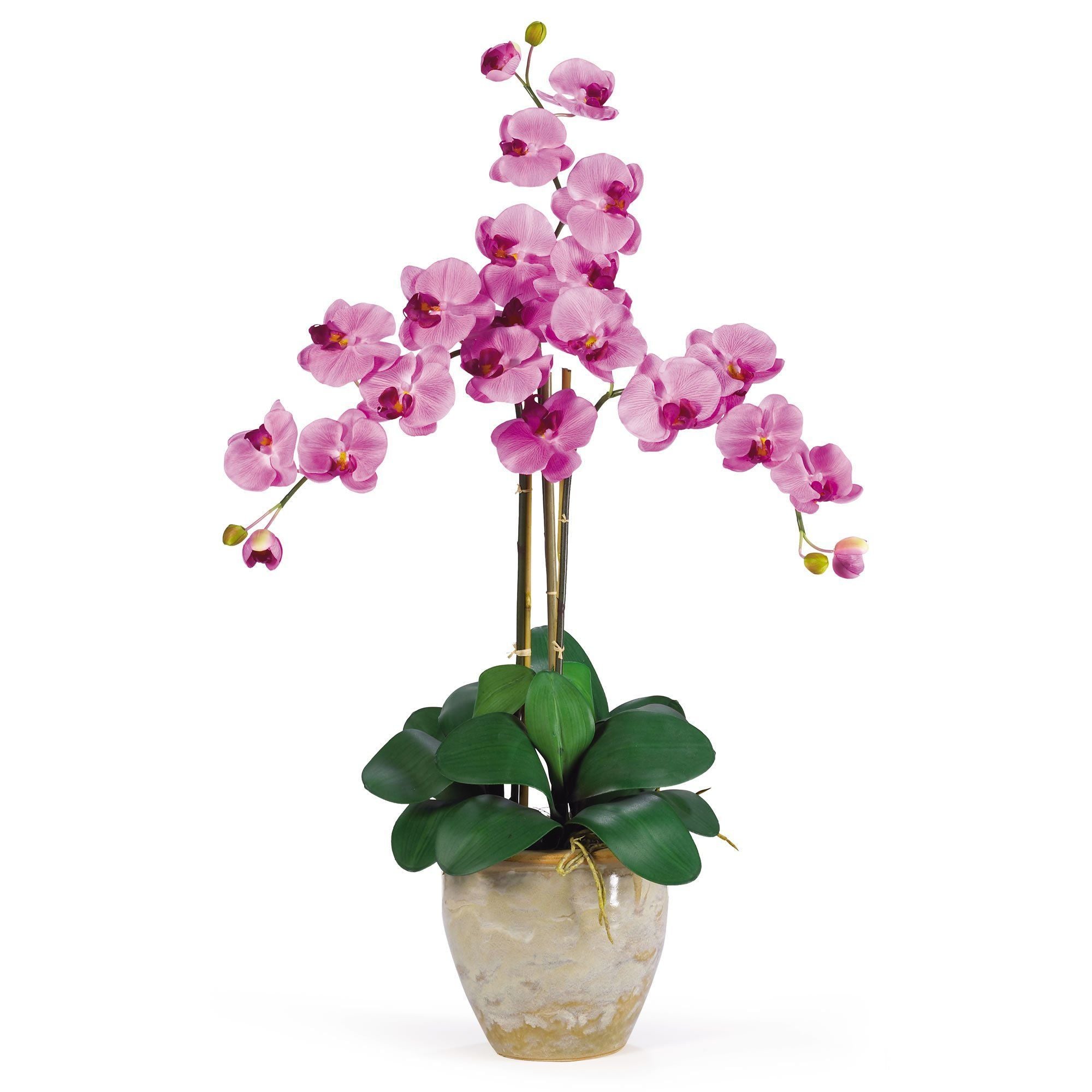 Triple Stem Phalaenopsis Silk Orchid Arrangement