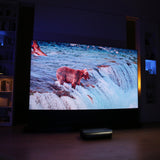 LTV-3000 Pro Plus 100''-130'' AWOL Vision Acoustic ALR Floor Rising Screen Bundle