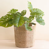 Natural Octagon Basket with Sage Handle - Octagon Basket | LIKHÂ