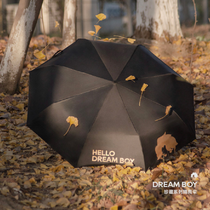 DREAM BOY COLLECTOR’S SERIES UMBRELLAR