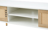 ARLO 55" TV Stand